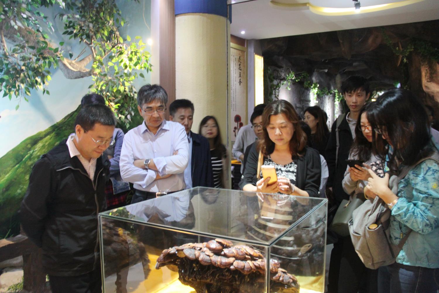 中國靈芝十大品牌|仙客來靈芝|仙客來靈芝破壁孢子粉|仙客來孢子油|仙客來靈芝飲片|仙客來破壁孢子粉|仙客來靈芝中藥飲片|馳名商標(biāo)|www.card931.cn|