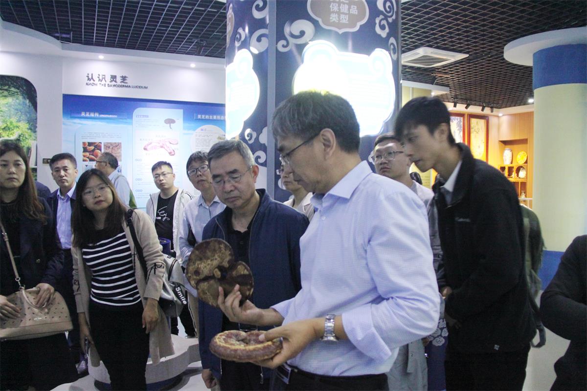 中國靈芝十大品牌|仙客來靈芝|仙客來靈芝破壁孢子粉|仙客來孢子油|仙客來靈芝飲片|仙客來破壁孢子粉|仙客來靈芝中藥飲片|馳名商標(biāo)|www.card931.cn|