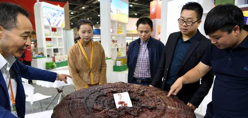 中國靈芝十大品牌|仙客來靈芝|仙客來靈芝破壁孢子粉|仙客來孢子油|仙客來靈芝飲片|仙客來破壁孢子粉|仙客來靈芝中藥飲片|馳名商標(biāo)|www.card931.cn|