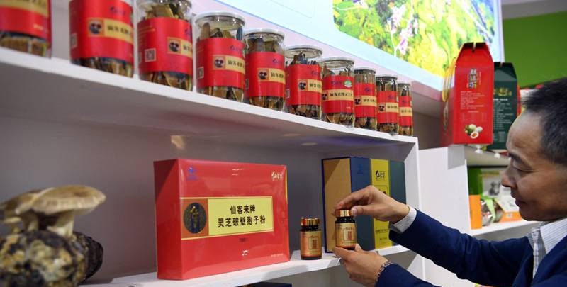 中國靈芝十大品牌|仙客來靈芝|仙客來靈芝破壁孢子粉|仙客來孢子油|仙客來靈芝飲片|仙客來破壁孢子粉|仙客來靈芝中藥飲片|馳名商標(biāo)|www.card931.cn|