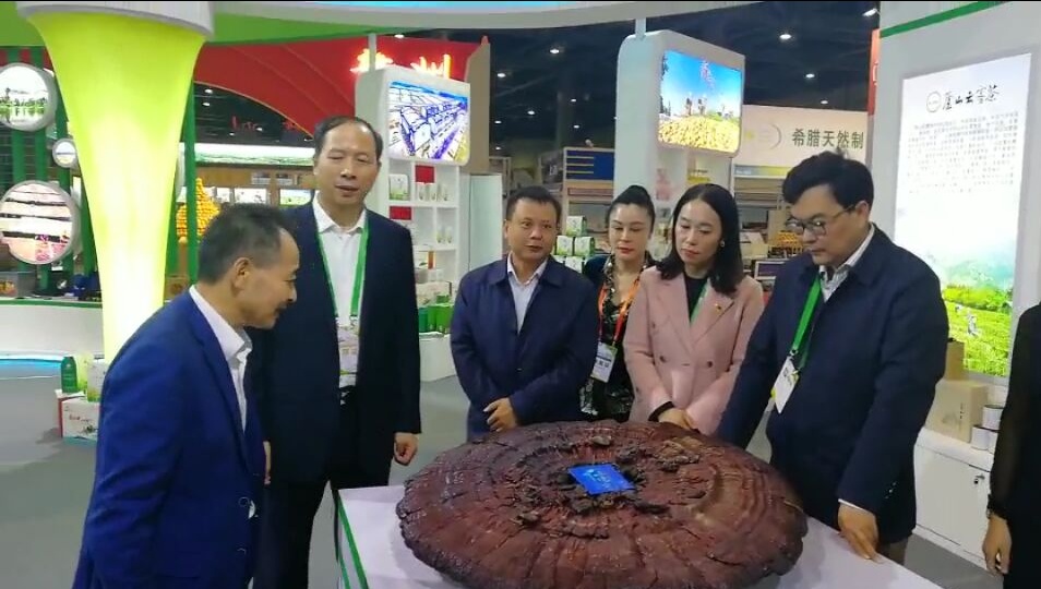 中國靈芝十大品牌|仙客來靈芝|仙客來靈芝破壁孢子粉|仙客來孢子油|仙客來靈芝飲片|仙客來破壁孢子粉|仙客來靈芝中藥飲片|馳名商標(biāo)|www.card931.cn|