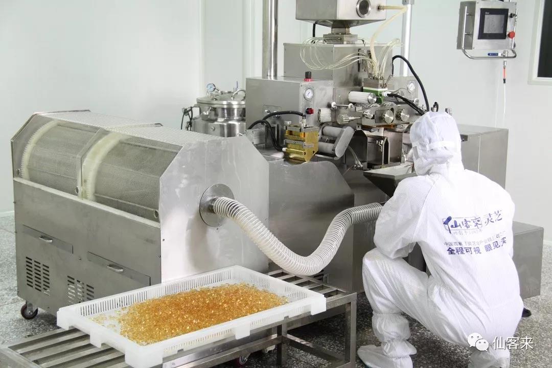 中國(guó)靈芝十大品牌|仙客來(lái)靈芝|仙客來(lái)靈芝破壁孢子粉|仙客來(lái)孢子油|仙客來(lái)靈芝飲片|仙客來(lái)破壁孢子粉|仙客來(lái)靈芝中藥飲片|馳名商標(biāo)|www.card931.cn|