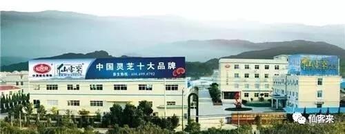 中國(guó)靈芝十大品牌|仙客來(lái)靈芝|仙客來(lái)靈芝破壁孢子粉|仙客來(lái)孢子油|仙客來(lái)靈芝飲片|仙客來(lái)破壁孢子粉|仙客來(lái)靈芝中藥飲片|馳名商標(biāo)|www.card931.cn|