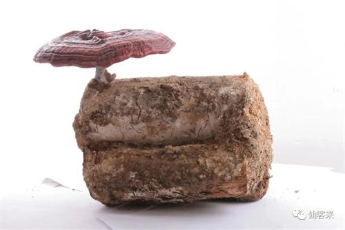 1588233490569030.jpg 3B695474DE971E6A2F31C555E824E6D7.jpg