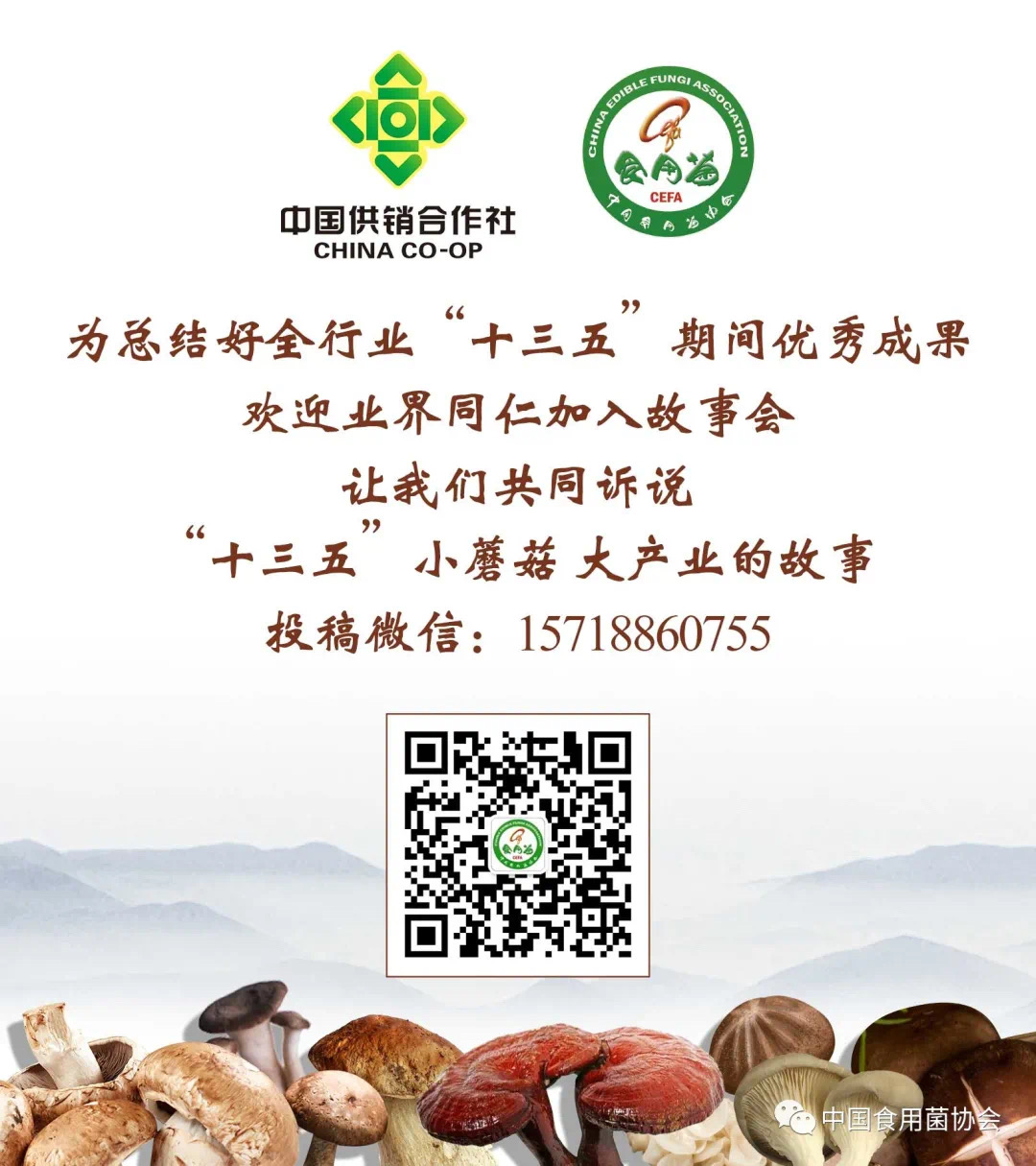 杭州亞運會官方靈芝產(chǎn)品供應(yīng)商|杭州亞運會官方供應(yīng)商|中國靈芝十大品牌|仙客來靈芝|仙客來靈芝破壁孢子粉|仙客來孢子油|仙客來靈芝飲片|仙客來破壁孢子粉|靈芝孢子油|孢子粉|靈芝破壁孢子粉|靈芝|中華老字號