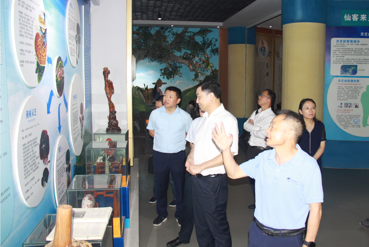 杭州亞運(yùn)會(huì)官方靈芝產(chǎn)品供應(yīng)商|杭州亞運(yùn)會(huì)官方供應(yīng)商|中國(guó)靈芝十大品牌|仙客來靈芝|仙客來靈芝破壁孢子粉|仙客來孢子油|仙客來靈芝飲片|仙客來破壁孢子粉|靈芝孢子油|孢子粉|靈芝破壁孢子粉|靈芝|中華老字號(hào)