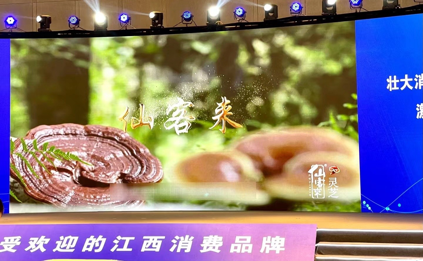 杭州亞運會官方靈芝產(chǎn)品供應(yīng)商|杭州亞運會官方供應(yīng)商|中國靈芝十大品牌|仙客來靈芝|仙客來靈芝破壁孢子粉|仙客來孢子油|仙客來靈芝飲片|仙客來破壁孢子粉|靈芝孢子油|孢子粉|靈芝破壁孢子粉|靈芝|中華老字號