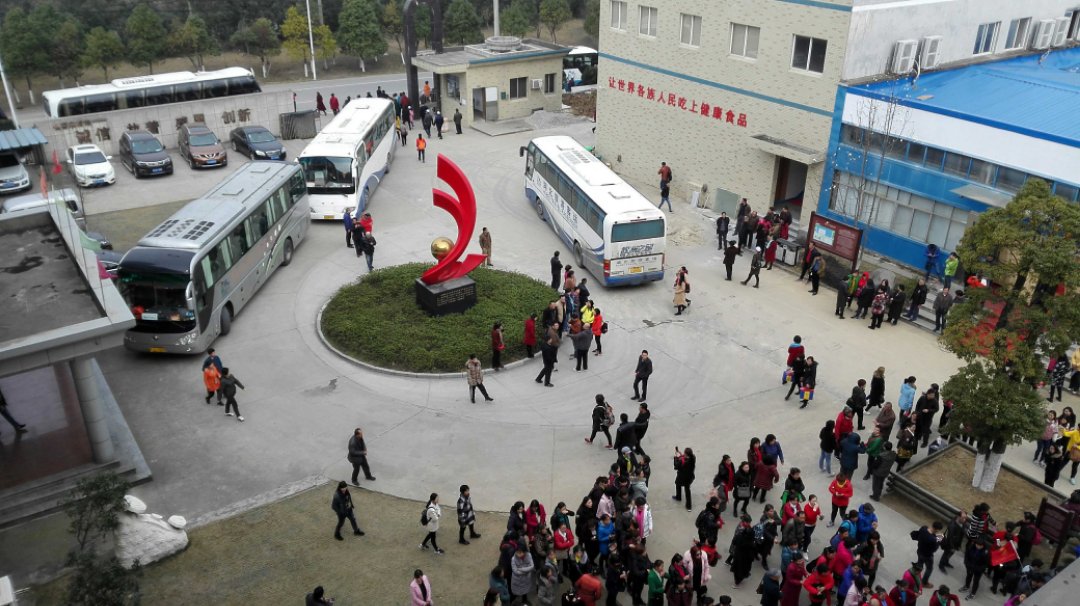 杭州亞運(yùn)會(huì)官方靈芝產(chǎn)品供應(yīng)商|杭州亞運(yùn)會(huì)官方供應(yīng)商|中國(guó)靈芝十大品牌|仙客來靈芝|仙客來靈芝破壁孢子粉|仙客來孢子油|仙客來靈芝飲片|仙客來破壁孢子粉|靈芝孢子油|孢子粉|靈芝破壁孢子粉|靈芝|中華老字號(hào) 杭州亞運(yùn)會(huì)官方靈芝產(chǎn)品供應(yīng)商|杭州亞運(yùn)會(huì)官方供應(yīng)商|中國(guó)靈芝十大品牌|仙客來靈芝|仙客來靈芝破壁孢子粉|仙客來孢子油|仙客來靈芝飲片|仙客來破壁孢子粉|靈芝孢子油|孢子粉|靈芝破壁孢子粉|靈芝|中華老字號(hào)