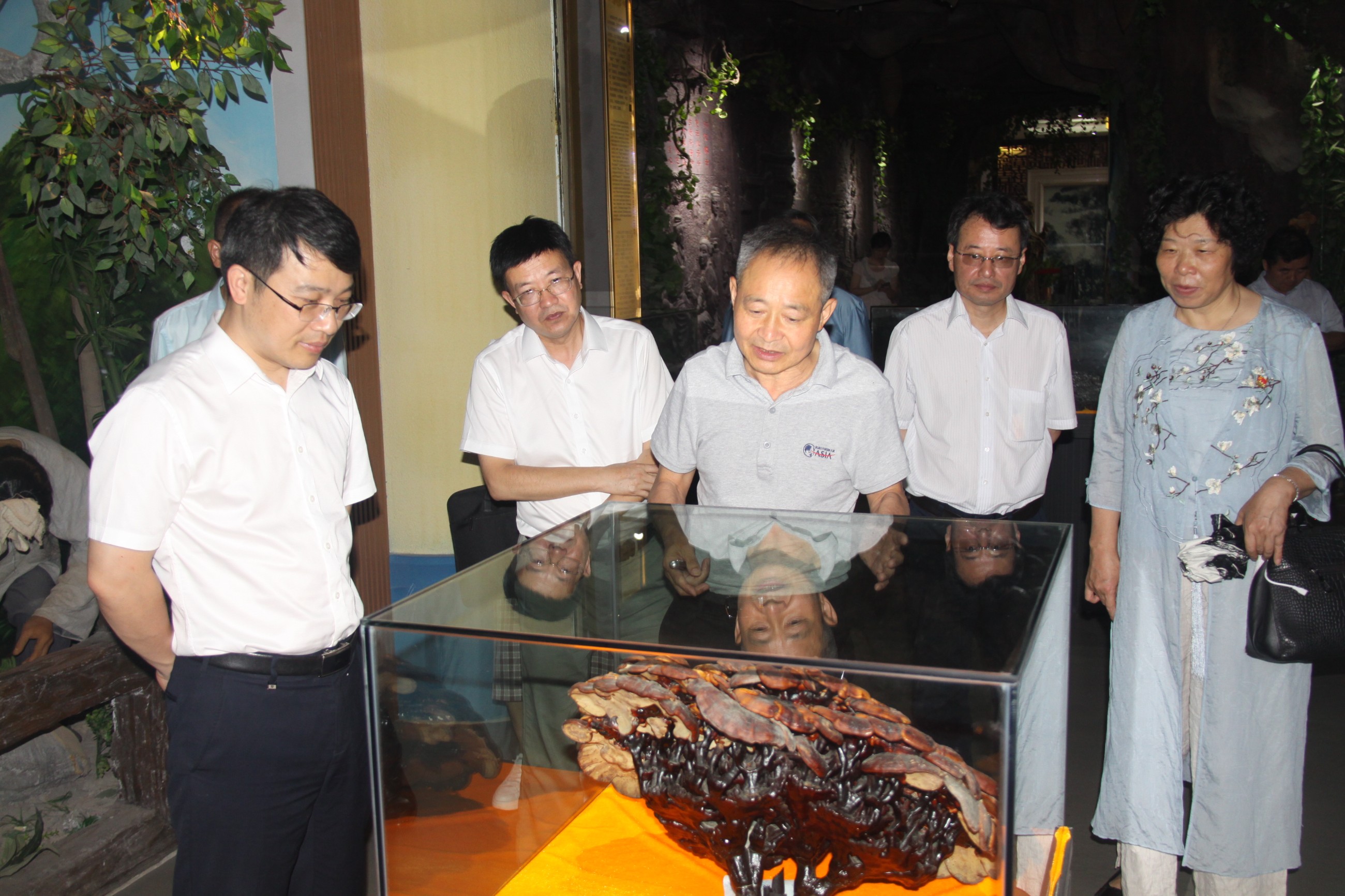 杭州亞運會官方靈芝產(chǎn)品供應(yīng)商|杭州亞運會官方供應(yīng)商|中國靈芝十大品牌|仙客來靈芝|仙客來靈芝破壁孢子粉|仙客來孢子油|仙客來靈芝飲片|仙客來破壁孢子粉|靈芝孢子油|孢子粉|靈芝破壁孢子粉|靈芝|中華老字號 杭州亞運會官方靈芝產(chǎn)品供應(yīng)商|杭州亞運會官方供應(yīng)商|中國靈芝十大品牌|仙客來靈芝|仙客來靈芝破壁孢子粉|仙客來孢子油|仙客來靈芝飲片|仙客來破壁孢子粉|靈芝孢子油|孢子粉|靈芝破壁孢子粉|靈芝|中華老字號