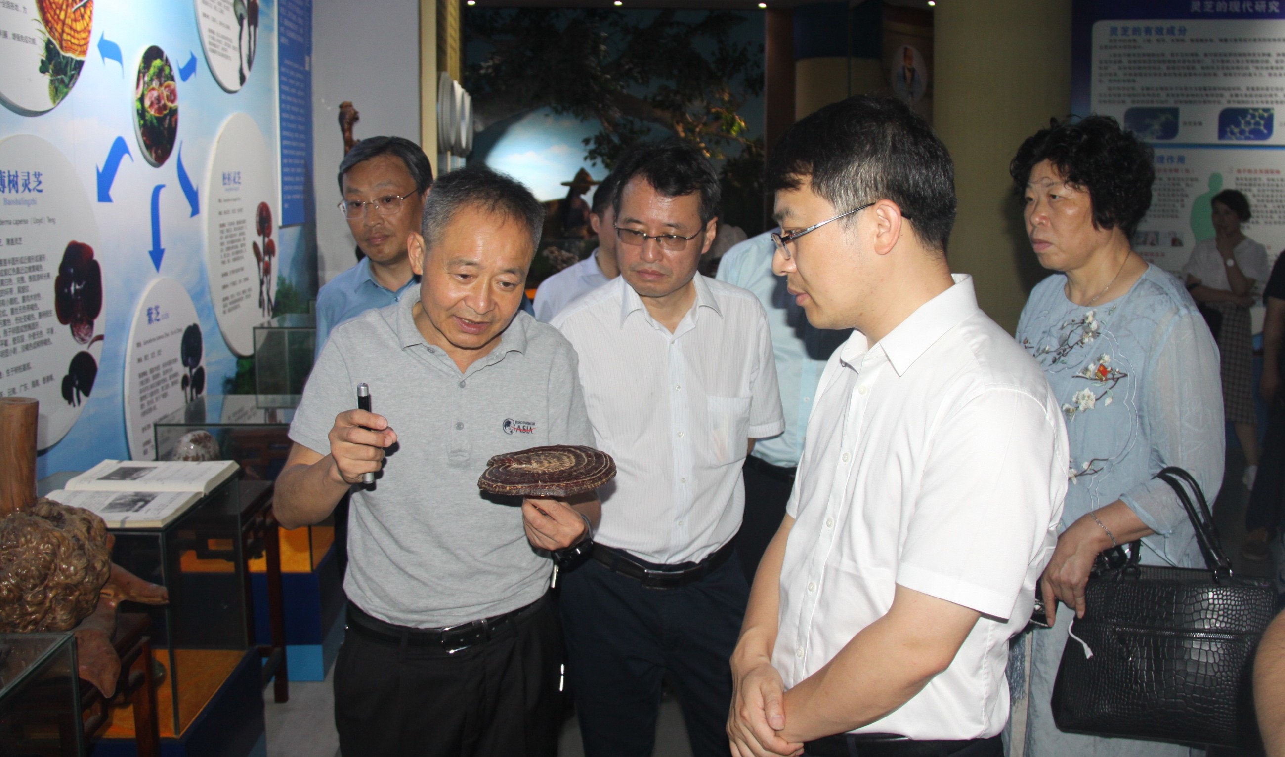 杭州亞運會官方靈芝產(chǎn)品供應(yīng)商|杭州亞運會官方供應(yīng)商|中國靈芝十大品牌|仙客來靈芝|仙客來靈芝破壁孢子粉|仙客來孢子油|仙客來靈芝飲片|仙客來破壁孢子粉|靈芝孢子油|孢子粉|靈芝破壁孢子粉|靈芝|中華老字號 杭州亞運會官方靈芝產(chǎn)品供應(yīng)商|杭州亞運會官方供應(yīng)商|中國靈芝十大品牌|仙客來靈芝|仙客來靈芝破壁孢子粉|仙客來孢子油|仙客來靈芝飲片|仙客來破壁孢子粉|靈芝孢子油|孢子粉|靈芝破壁孢子粉|靈芝|中華老字號