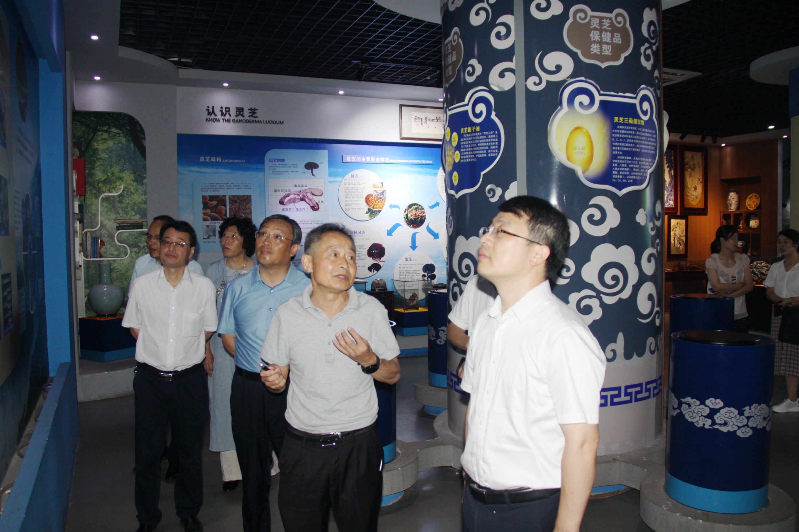 杭州亞運會官方靈芝產(chǎn)品供應(yīng)商|杭州亞運會官方供應(yīng)商|中國靈芝十大品牌|仙客來靈芝|仙客來靈芝破壁孢子粉|仙客來孢子油|仙客來靈芝飲片|仙客來破壁孢子粉|靈芝孢子油|孢子粉|靈芝破壁孢子粉|靈芝|中華老字號 杭州亞運會官方靈芝產(chǎn)品供應(yīng)商|杭州亞運會官方供應(yīng)商|中國靈芝十大品牌|仙客來靈芝|仙客來靈芝破壁孢子粉|仙客來孢子油|仙客來靈芝飲片|仙客來破壁孢子粉|靈芝孢子油|孢子粉|靈芝破壁孢子粉|靈芝|中華老字號