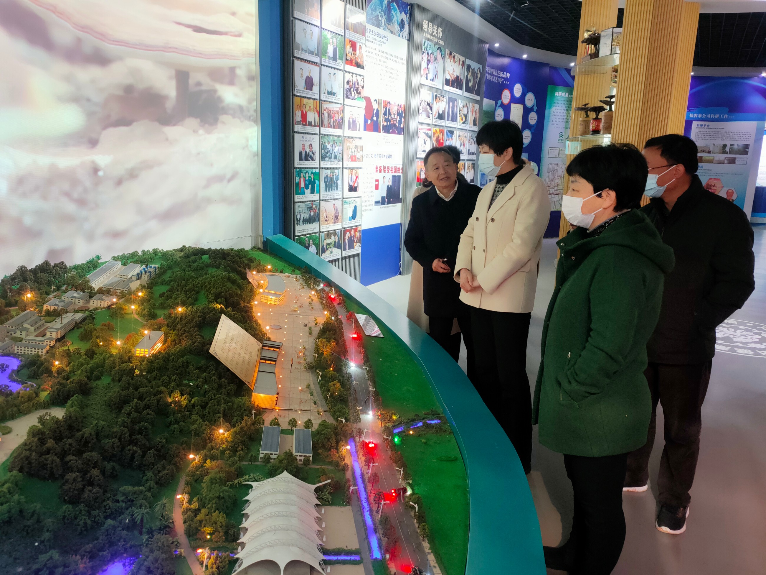 杭州亞運(yùn)會(huì)官方靈芝產(chǎn)品供應(yīng)商|杭州亞運(yùn)會(huì)官方供應(yīng)商|中國(guó)靈芝十大品牌|仙客來靈芝|仙客來靈芝破壁孢子粉|仙客來孢子油|仙客來靈芝飲片|仙客來破壁孢子粉|靈芝孢子油|孢子粉|靈芝破壁孢子粉|靈芝|中華老字號(hào)