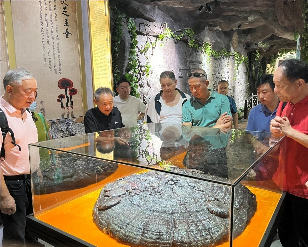 杭州亞運(yùn)會(huì)官方靈芝產(chǎn)品供應(yīng)商|杭州亞運(yùn)會(huì)官方供應(yīng)商|中國(guó)靈芝十大品牌|仙客來(lái)靈芝|仙客來(lái)靈芝破壁孢子粉|仙客來(lái)孢子油|仙客來(lái)靈芝飲片|仙客來(lái)破壁孢子粉|靈芝孢子油|孢子粉|靈芝破壁孢子粉|靈芝|中華老字號(hào) 杭州亞運(yùn)會(huì)官方靈芝產(chǎn)品供應(yīng)商|杭州亞運(yùn)會(huì)官方供應(yīng)商|中國(guó)靈芝十大品牌|仙客來(lái)靈芝|仙客來(lái)靈芝破壁孢子粉|仙客來(lái)孢子油|仙客來(lái)靈芝飲片|仙客來(lái)破壁孢子粉|靈芝孢子油|孢子粉|靈芝破壁孢子粉|靈芝|中華老字號(hào)