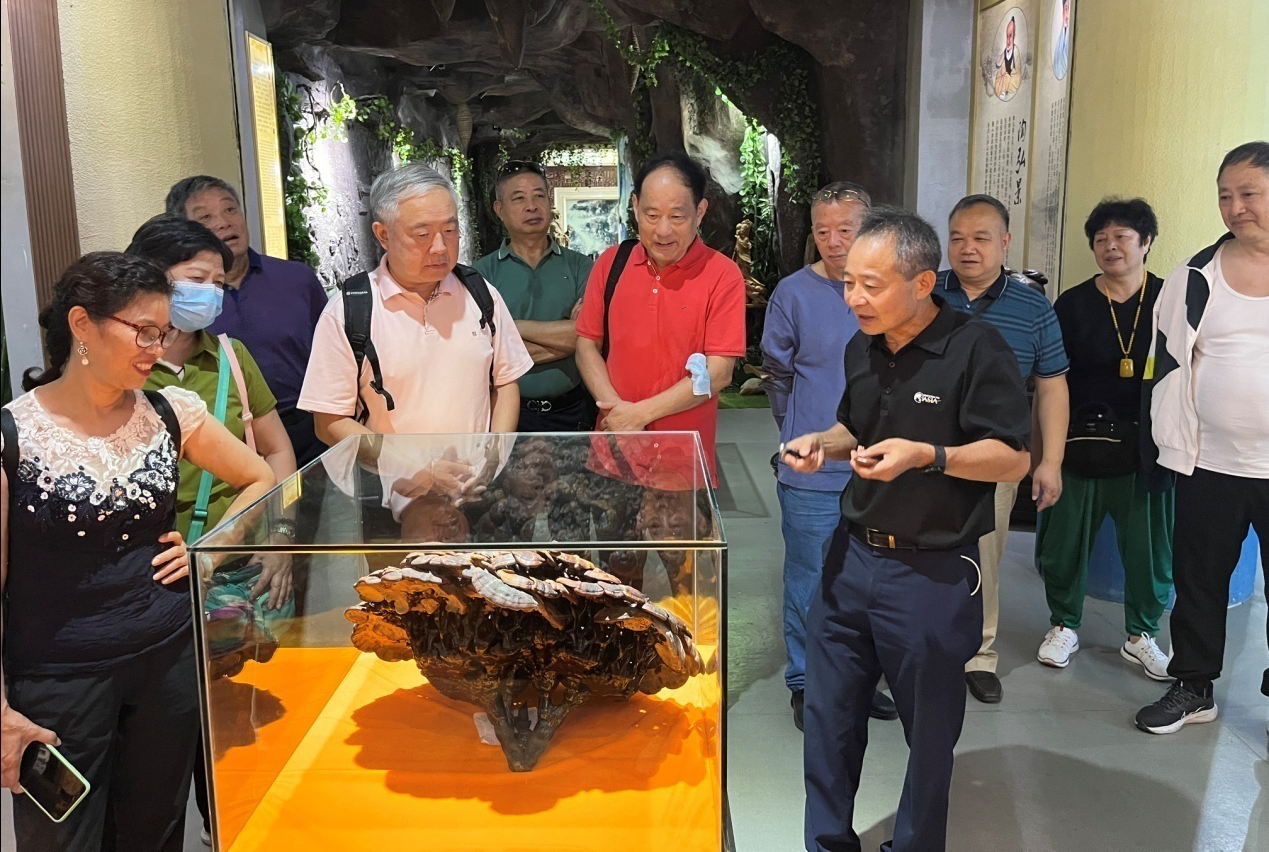 杭州亞運(yùn)會(huì)官方靈芝產(chǎn)品供應(yīng)商|杭州亞運(yùn)會(huì)官方供應(yīng)商|中國(guó)靈芝十大品牌|仙客來(lái)靈芝|仙客來(lái)靈芝破壁孢子粉|仙客來(lái)孢子油|仙客來(lái)靈芝飲片|仙客來(lái)破壁孢子粉|靈芝孢子油|孢子粉|靈芝破壁孢子粉|靈芝|中華老字號(hào) 杭州亞運(yùn)會(huì)官方靈芝產(chǎn)品供應(yīng)商|杭州亞運(yùn)會(huì)官方供應(yīng)商|中國(guó)靈芝十大品牌|仙客來(lái)靈芝|仙客來(lái)靈芝破壁孢子粉|仙客來(lái)孢子油|仙客來(lái)靈芝飲片|仙客來(lái)破壁孢子粉|靈芝孢子油|孢子粉|靈芝破壁孢子粉|靈芝|中華老字號(hào)