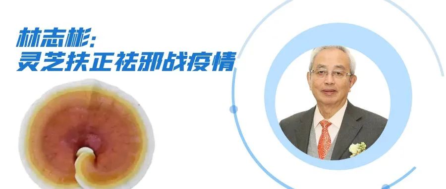 杭州亞運會官方靈芝產(chǎn)品供應商|杭州亞運會官方供應商|中國靈芝十大品牌|仙客來靈芝|仙客來靈芝破壁孢子粉|仙客來孢子油|仙客來靈芝飲片|仙客來破壁孢子粉|靈芝孢子油|孢子粉|靈芝破壁孢子粉|靈芝|中華老字號 杭州亞運會官方靈芝產(chǎn)品供應商|杭州亞運會官方供應商|中國靈芝十大品牌|仙客來靈芝|仙客來靈芝破壁孢子粉|仙客來孢子油|仙客來靈芝飲片|仙客來破壁孢子粉|靈芝孢子油|孢子粉|靈芝破壁孢子粉|靈芝|中華老字號