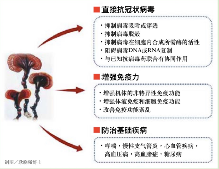 杭州亞運會官方靈芝產(chǎn)品供應商|杭州亞運會官方供應商|中國靈芝十大品牌|仙客來靈芝|仙客來靈芝破壁孢子粉|仙客來孢子油|仙客來靈芝飲片|仙客來破壁孢子粉|靈芝孢子油|孢子粉|靈芝破壁孢子粉|靈芝|中華老字號 杭州亞運會官方靈芝產(chǎn)品供應商|杭州亞運會官方供應商|中國靈芝十大品牌|仙客來靈芝|仙客來靈芝破壁孢子粉|仙客來孢子油|仙客來靈芝飲片|仙客來破壁孢子粉|靈芝孢子油|孢子粉|靈芝破壁孢子粉|靈芝|中華老字號