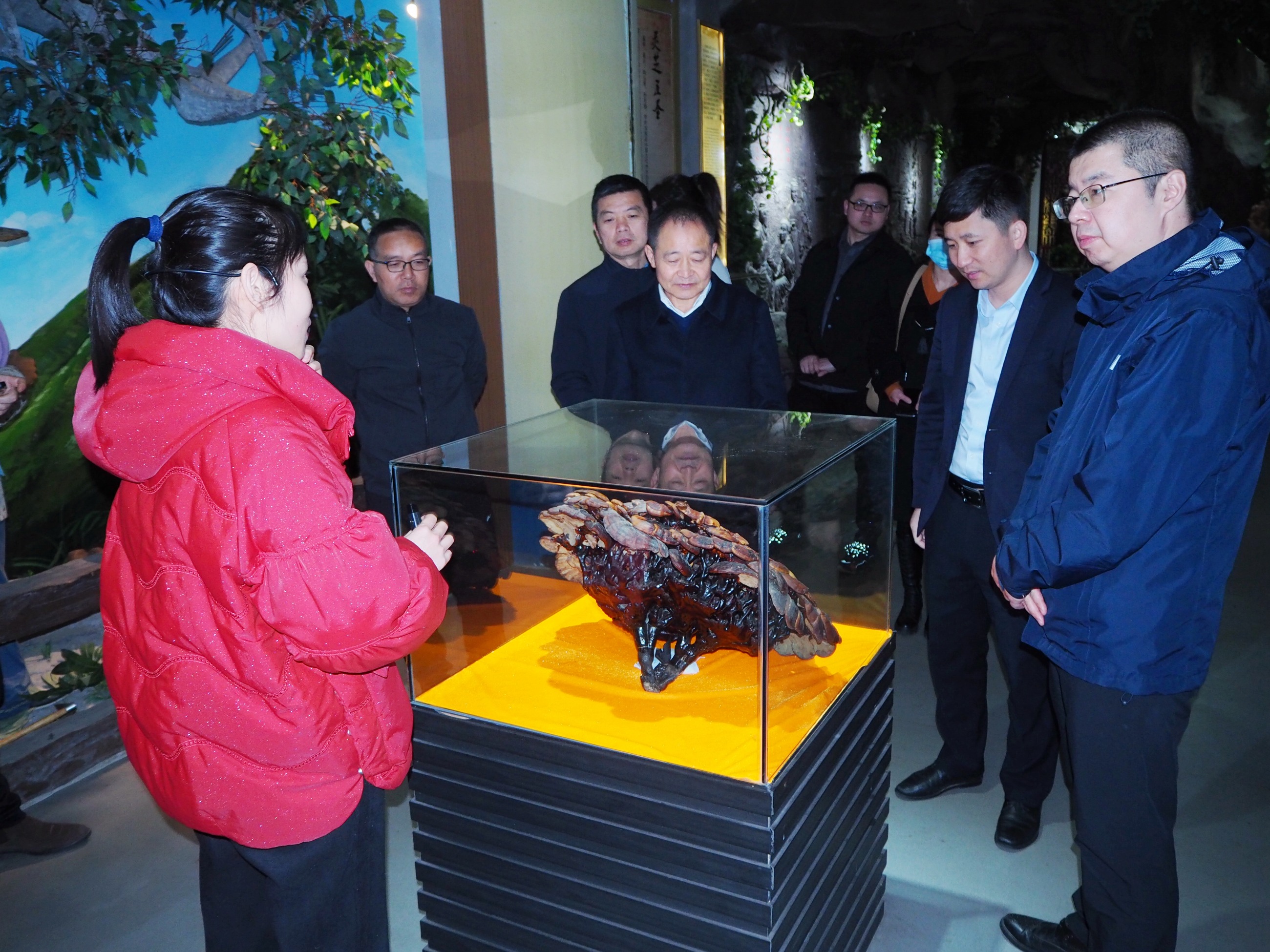 杭州亞運(yùn)會(huì)官方靈芝產(chǎn)品供應(yīng)商|杭州亞運(yùn)會(huì)官方供應(yīng)商|中國(guó)靈芝十大品牌|仙客來靈芝|仙客來靈芝破壁孢子粉|仙客來孢子油|仙客來靈芝飲片|仙客來破壁孢子粉|靈芝孢子油|孢子粉|靈芝破壁孢子粉|靈芝|中華老字號(hào) 杭州亞運(yùn)會(huì)官方靈芝產(chǎn)品供應(yīng)商|杭州亞運(yùn)會(huì)官方供應(yīng)商|中國(guó)靈芝十大品牌|仙客來靈芝|仙客來靈芝破壁孢子粉|仙客來孢子油|仙客來靈芝飲片|仙客來破壁孢子粉|靈芝孢子油|孢子粉|靈芝破壁孢子粉|靈芝|中華老字號(hào)