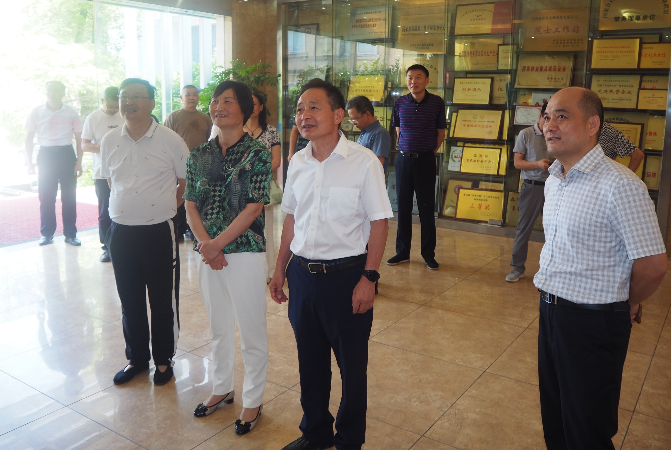 杭州亞運(yùn)會(huì)官方靈芝產(chǎn)品供應(yīng)商|杭州亞運(yùn)會(huì)官方供應(yīng)商|中國(guó)靈芝十大品牌|仙客來靈芝|仙客來靈芝破壁孢子粉|仙客來孢子油|仙客來靈芝飲片|仙客來破壁孢子粉|靈芝孢子油|孢子粉|靈芝破壁孢子粉|靈芝|中華老字號(hào)