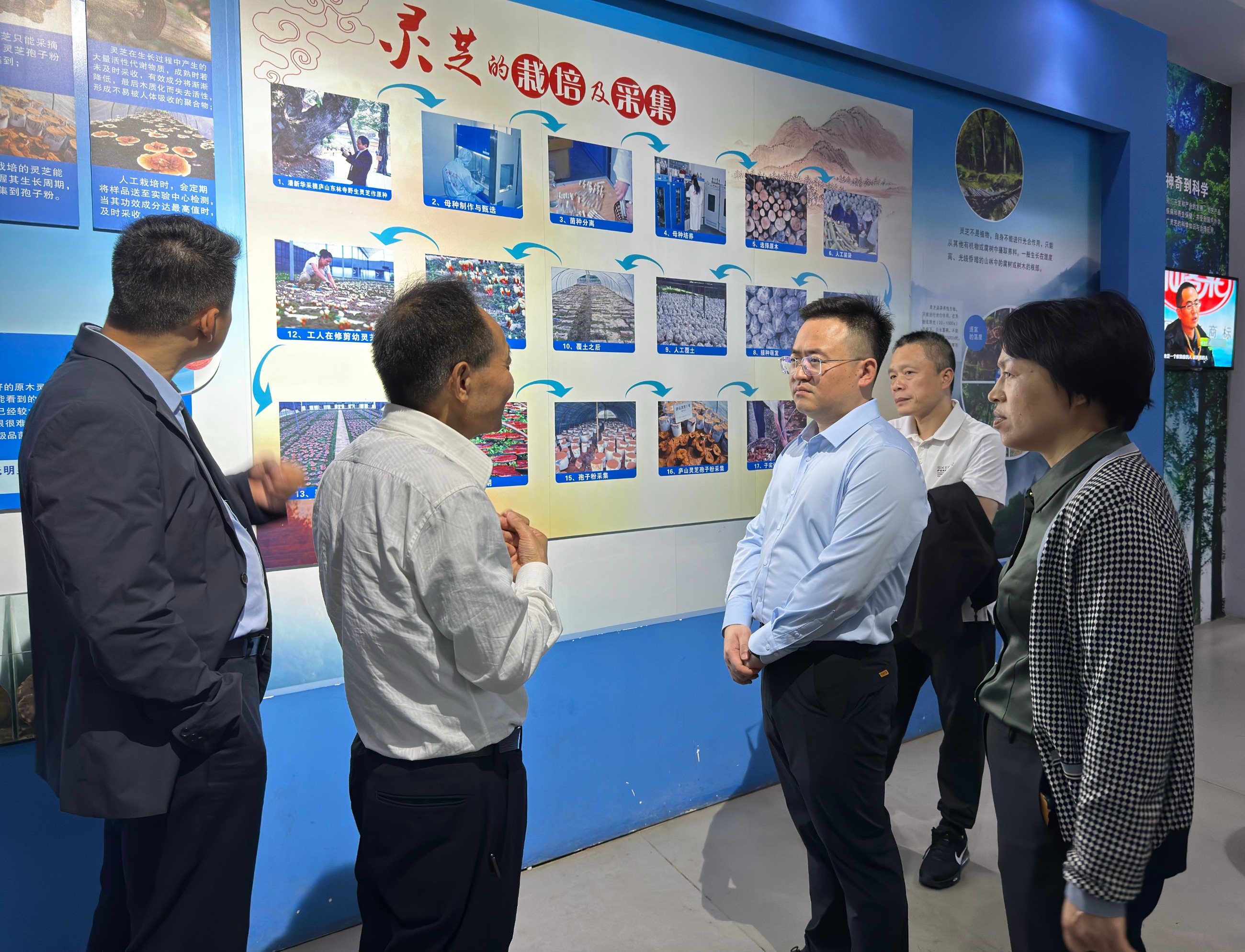 杭州亞運(yùn)會(huì)官方靈芝產(chǎn)品供應(yīng)商|杭州亞運(yùn)會(huì)官方供應(yīng)商|中國靈芝十大品牌|仙客來靈芝|仙客來靈芝破壁孢子粉|仙客來孢子油|仙客來靈芝飲片|仙客來破壁孢子粉|靈芝孢子油|孢子粉|靈芝破壁孢子粉|靈芝|中華老字號(hào) 杭州亞運(yùn)會(huì)官方靈芝產(chǎn)品供應(yīng)商|杭州亞運(yùn)會(huì)官方供應(yīng)商|中國靈芝十大品牌|仙客來靈芝|仙客來靈芝破壁孢子粉|仙客來孢子油|仙客來靈芝飲片|仙客來破壁孢子粉|靈芝孢子油|孢子粉|靈芝破壁孢子粉|靈芝|中華老字號(hào)