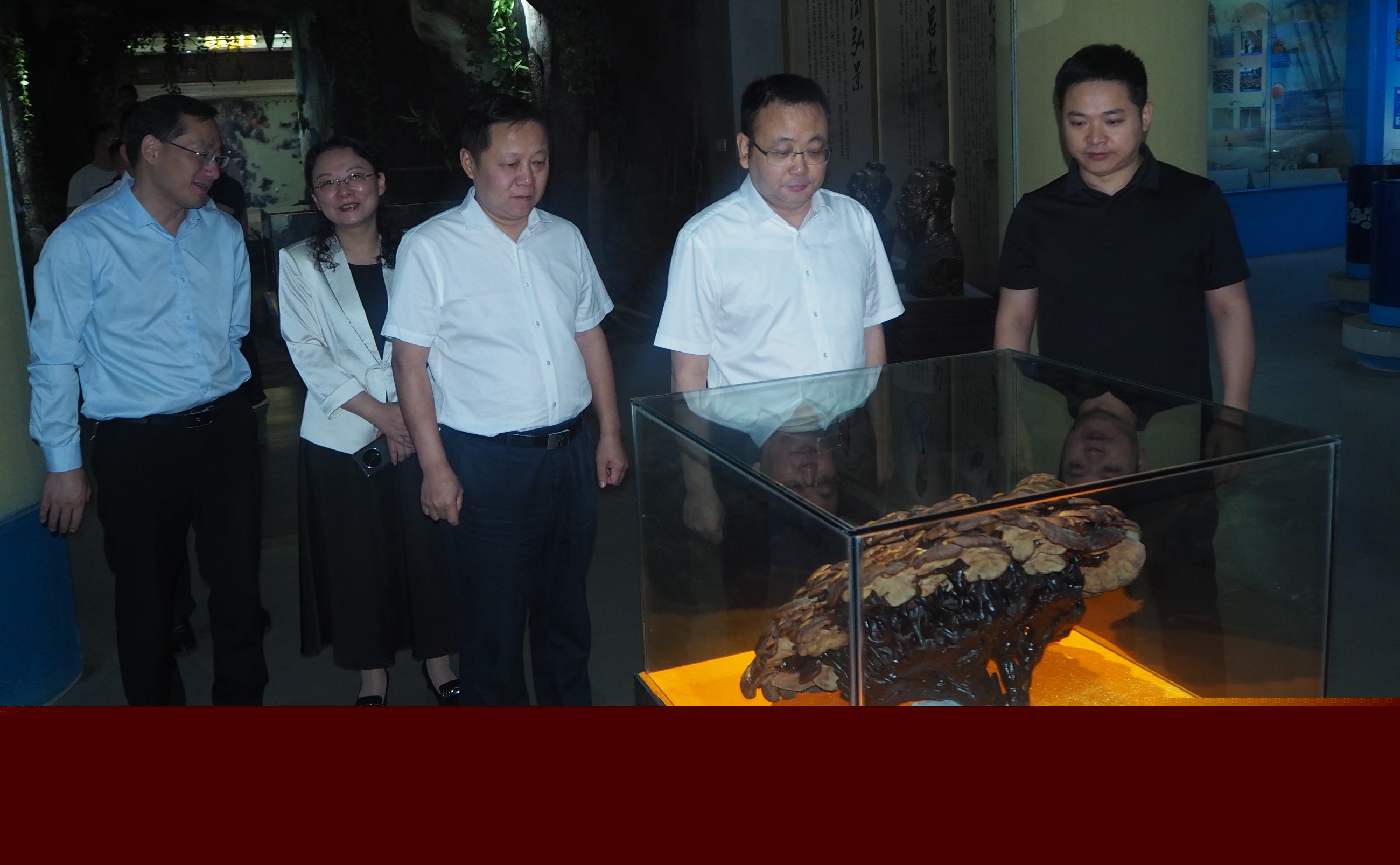 杭州亞運會官方靈芝產(chǎn)品供應(yīng)商|杭州亞運會官方供應(yīng)商|中國靈芝十大品牌|仙客來靈芝|仙客來靈芝破壁孢子粉|仙客來孢子油|仙客來靈芝飲片|仙客來破壁孢子粉|靈芝孢子油|孢子粉|靈芝破壁孢子粉|靈芝|中華老字號