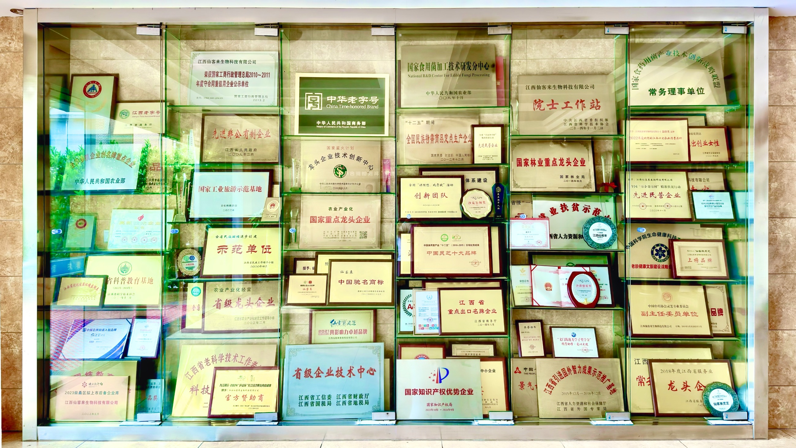 杭州亞運(yùn)會(huì)官方靈芝產(chǎn)品供應(yīng)商|杭州亞運(yùn)會(huì)官方供應(yīng)商|中國靈芝十大品牌|仙客來靈芝|仙客來靈芝破壁孢子粉|仙客來孢子油|仙客來靈芝飲片|仙客來破壁孢子粉|靈芝孢子油|孢子粉|靈芝破壁孢子粉|靈芝|中華老字號 杭州亞運(yùn)會(huì)官方靈芝產(chǎn)品供應(yīng)商|杭州亞運(yùn)會(huì)官方供應(yīng)商|中國靈芝十大品牌|仙客來靈芝|仙客來靈芝破壁孢子粉|仙客來孢子油|仙客來靈芝飲片|仙客來破壁孢子粉|靈芝孢子油|孢子粉|靈芝破壁孢子粉|靈芝|中華老字號