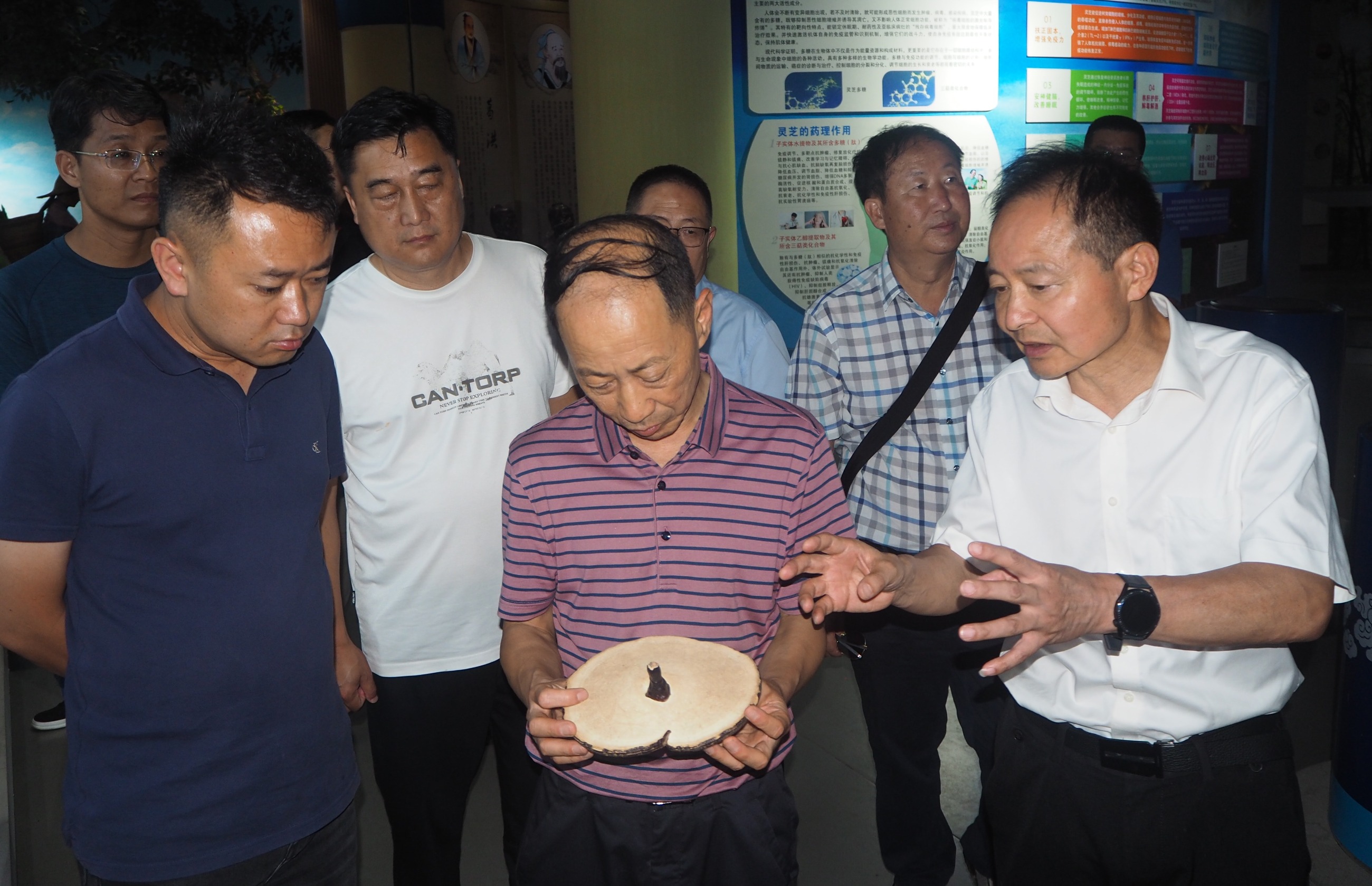 杭州亞運(yùn)會(huì)官方靈芝產(chǎn)品供應(yīng)商|杭州亞運(yùn)會(huì)官方供應(yīng)商|中國(guó)靈芝十大品牌|仙客來(lái)靈芝|仙客來(lái)靈芝破壁孢子粉|仙客來(lái)孢子油|仙客來(lái)靈芝飲片|仙客來(lái)破壁孢子粉|靈芝孢子油|孢子粉|靈芝破壁孢子粉|靈芝|中華老字號(hào) 杭州亞運(yùn)會(huì)官方靈芝產(chǎn)品供應(yīng)商|杭州亞運(yùn)會(huì)官方供應(yīng)商|中國(guó)靈芝十大品牌|仙客來(lái)靈芝|仙客來(lái)靈芝破壁孢子粉|仙客來(lái)孢子油|仙客來(lái)靈芝飲片|仙客來(lái)破壁孢子粉|靈芝孢子油|孢子粉|靈芝破壁孢子粉|靈芝|中華老字號(hào)