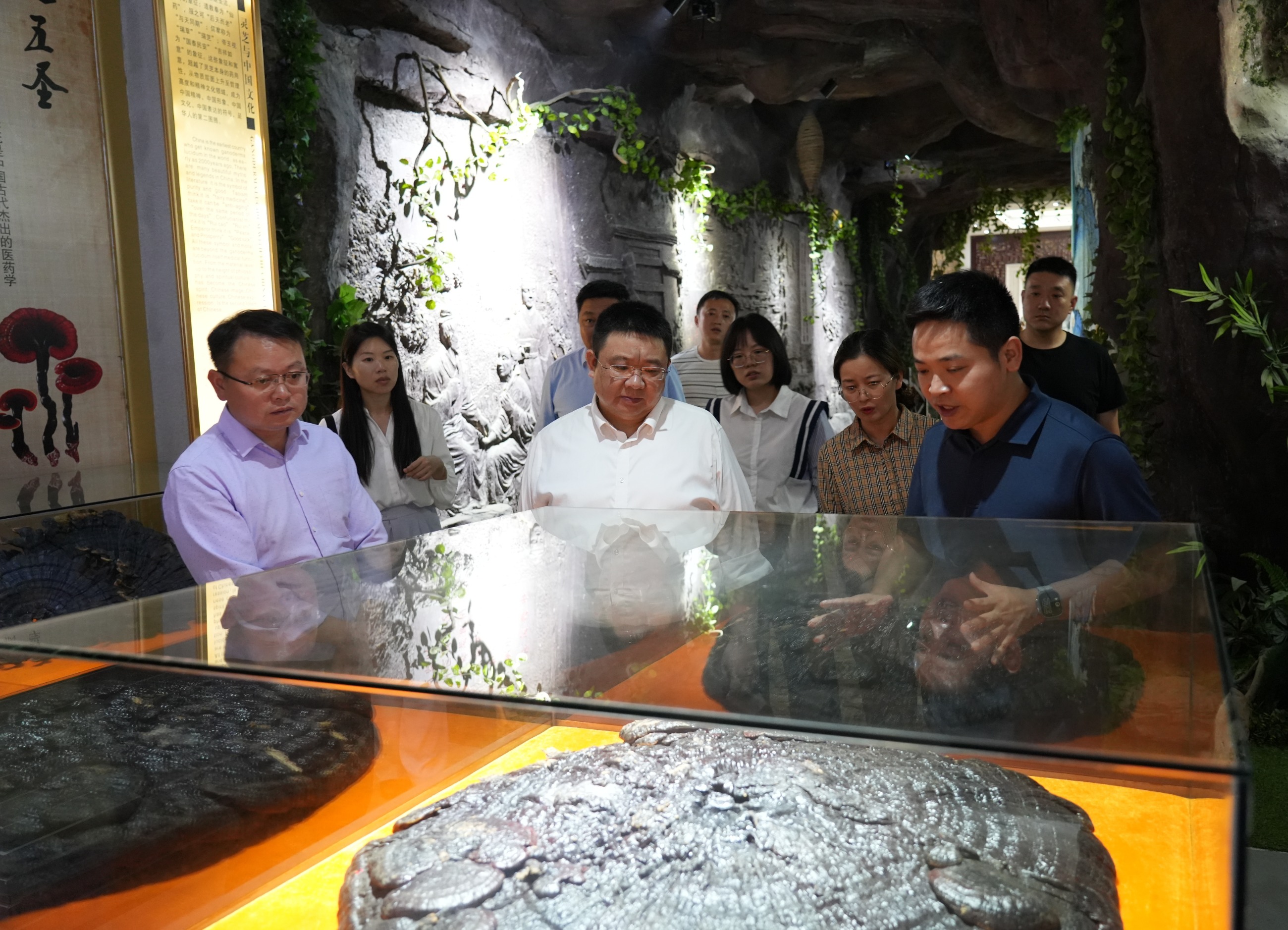 杭州亞運(yùn)會(huì)官方靈芝產(chǎn)品供應(yīng)商|杭州亞運(yùn)會(huì)官方供應(yīng)商|中國(guó)靈芝十大品牌|仙客來(lái)靈芝|仙客來(lái)靈芝破壁孢子粉|仙客來(lái)孢子油|仙客來(lái)靈芝飲片|仙客來(lái)破壁孢子粉|靈芝孢子油|孢子粉|靈芝破壁孢子粉|靈芝|中華老字號(hào)