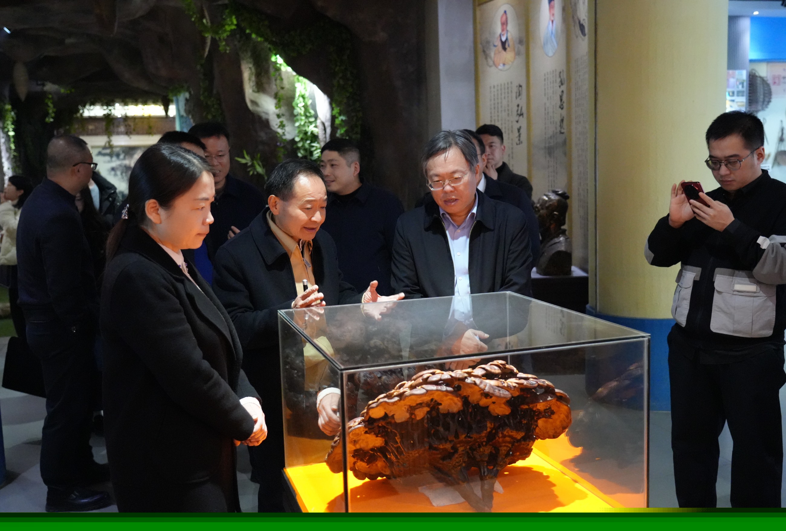 杭州亞運(yùn)會(huì)官方靈芝產(chǎn)品供應(yīng)商|杭州亞運(yùn)會(huì)官方供應(yīng)商|中國(guó)靈芝十大品牌|仙客來靈芝|仙客來靈芝破壁孢子粉|仙客來孢子油|仙客來靈芝飲片|仙客來破壁孢子粉|靈芝孢子油|孢子粉|靈芝破壁孢子粉|靈芝|中華老字號(hào)