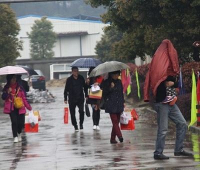 九江暴雨，仙客來“暴游”