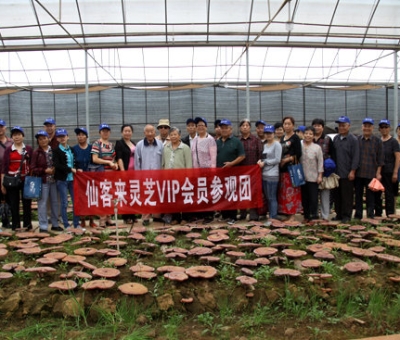 “慶國(guó)慶、賀重陽(yáng)”專家義診活動(dòng)在仙客來(lái)公司隆重舉行