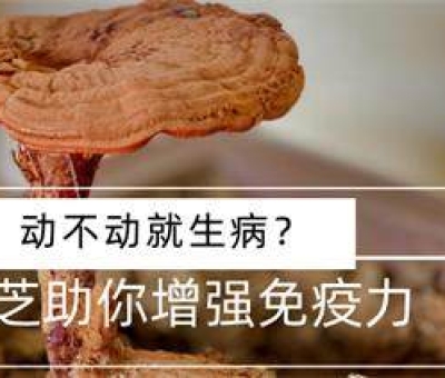 冬病夏治-如何調(diào)養(yǎng)身體？