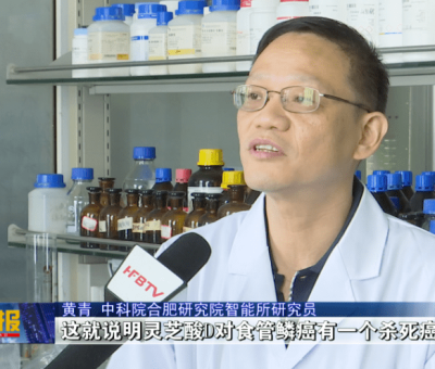 最新研究!中國科學院在靈芝抗癌藥理研究方面取得重大進展