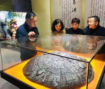 福建省軍區(qū)副政委李弘將軍蒞臨仙客來公司參觀考察