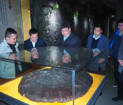 江西省委宣傳部副部長(zhǎng)傅云一行蒞臨仙客來(lái)考察調(diào)研